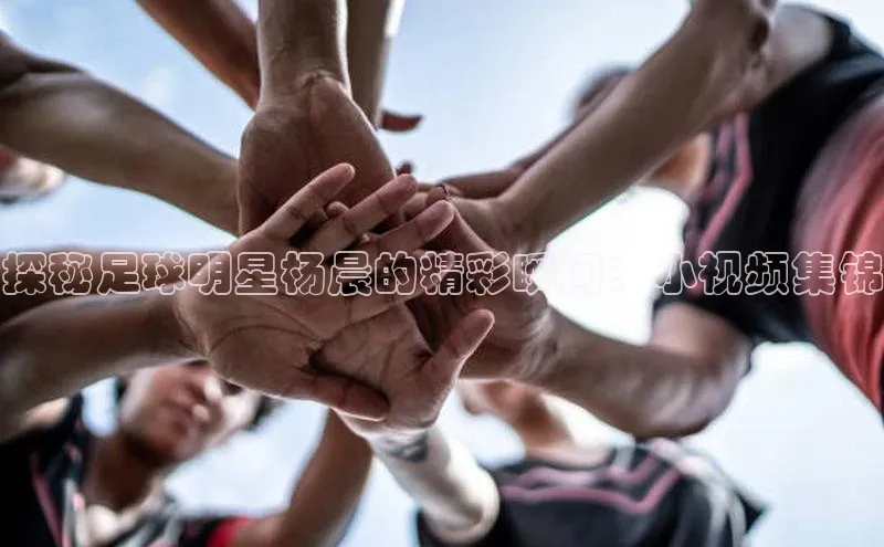 333体育官方网址华扬联众探秘足球明星杨晨的精彩瞬间：小视频集锦