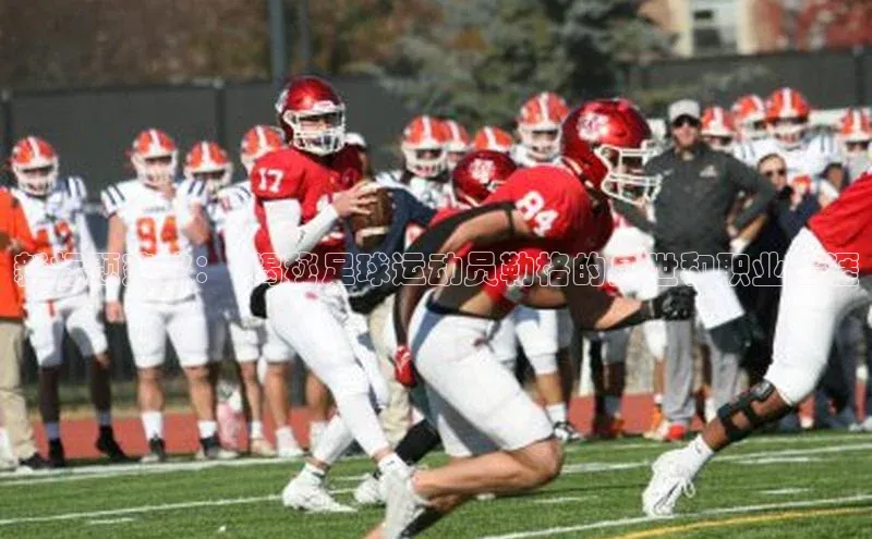 333体育官方网址百度众测新标题建议：\