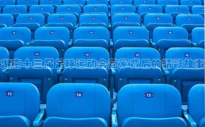 333体育平台app台登录荣信文化湖南十三届足球运动会冠军背后的精彩故事