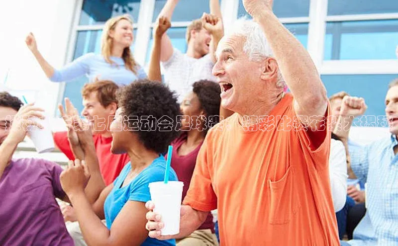 333体育平台app百度人工翻译探秘临沂第七届运动会足球赛：精彩比赛花絮大揭秘