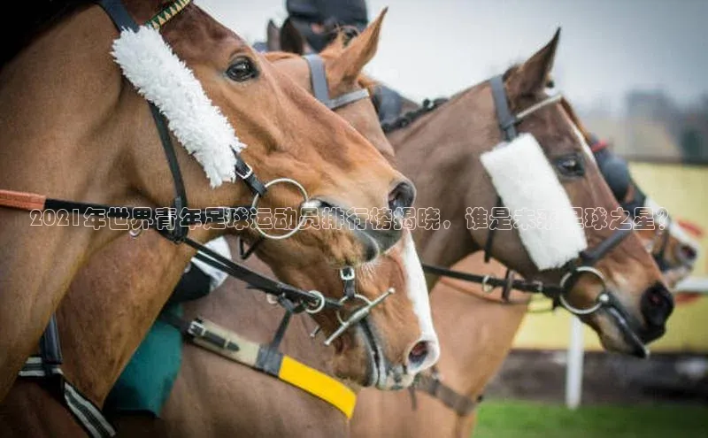 333体育平台app台登录荣信文化2021年世界青年足球运动员排行榜揭晓，谁是未来足球之星？