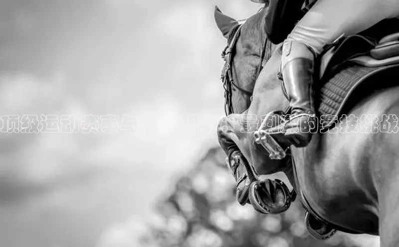 333体育官网入口江铃新能源顶级运动赛事与全球视野：最刺激的竞技挑战