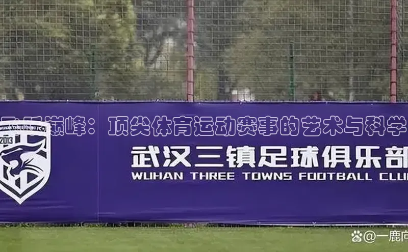 飞跃巅峰：顶尖体育运动赛事的艺术与科学