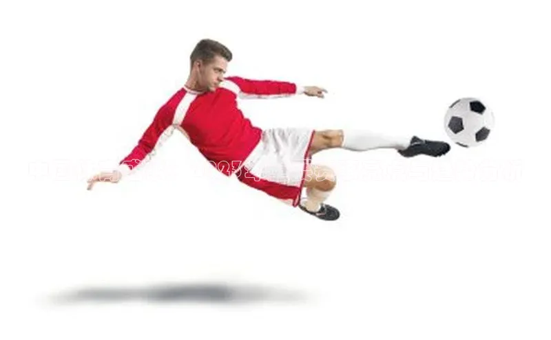 中国体育盛事：2023年重要赛事亮点与趋势分析