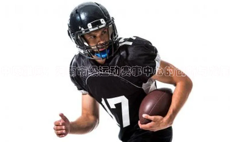 中原雄风：河南市级运动赛事中心的创新与发展