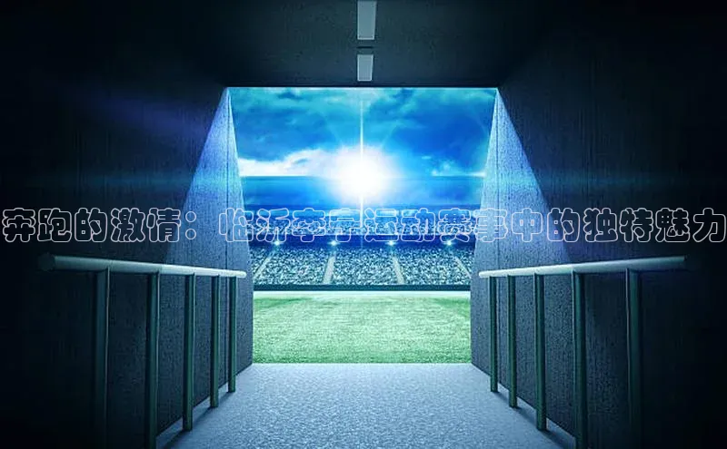 奔跑的激情：临沂李宁运动赛事中的独特魅力