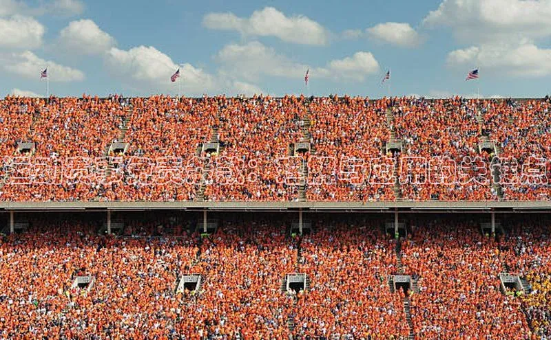 运动赛事免责条款：理解与应用的关键点