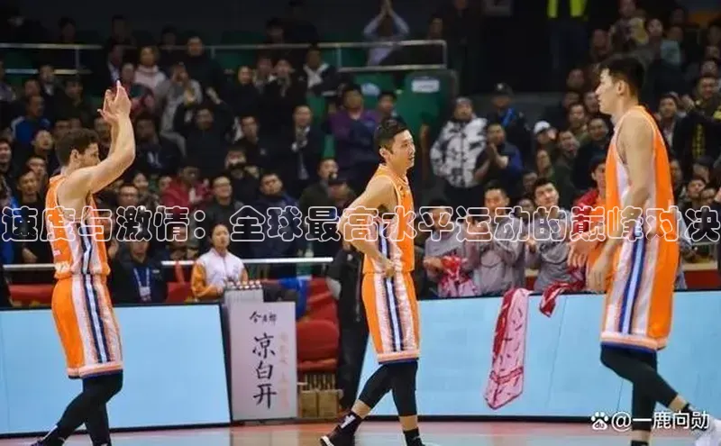 速度与激情：全球最高水平运动的巅峰对决