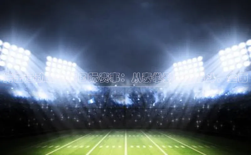 搏击运动的七大国际赛事：从泰拳到综合格斗，全面