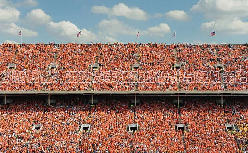 创新视角：运动赛事活动的设计与规划策略