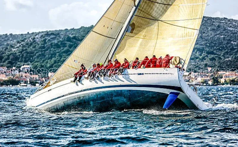 运动的旋律：一场精彩绝伦的运动会赛事报道