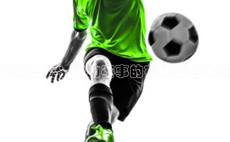 333体育平台网页下载