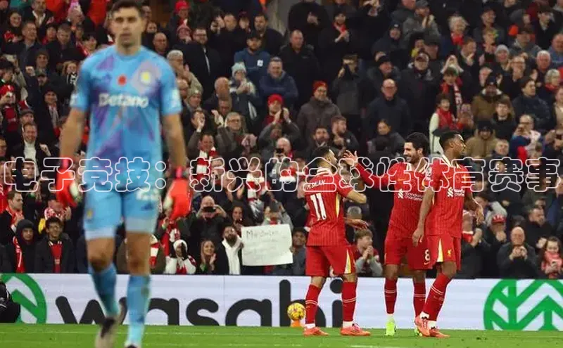 333体育网页登录