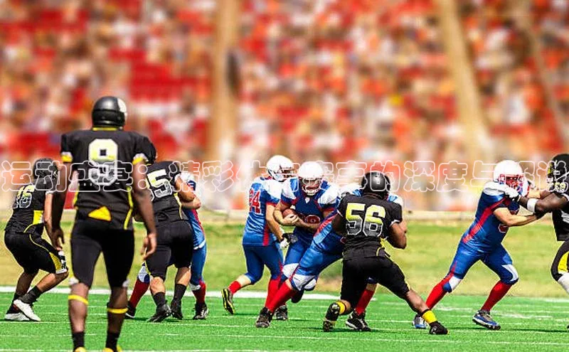 运动盛宴：精彩体育赛事的深度与解说