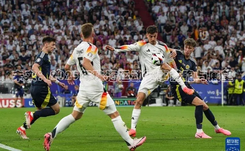 333体育官网登录入口