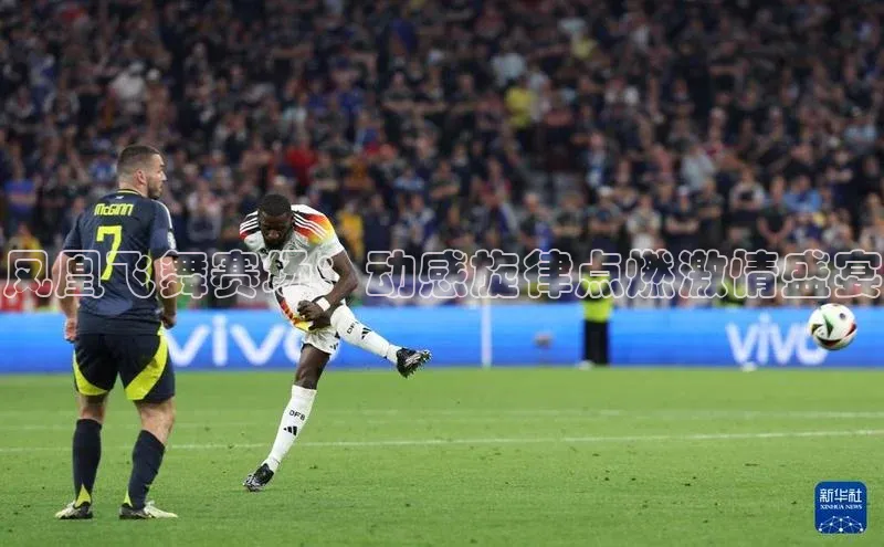 333体育官网登录入口