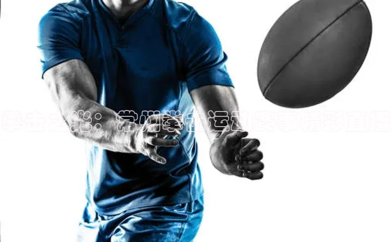 333体育app最新版本更新内容