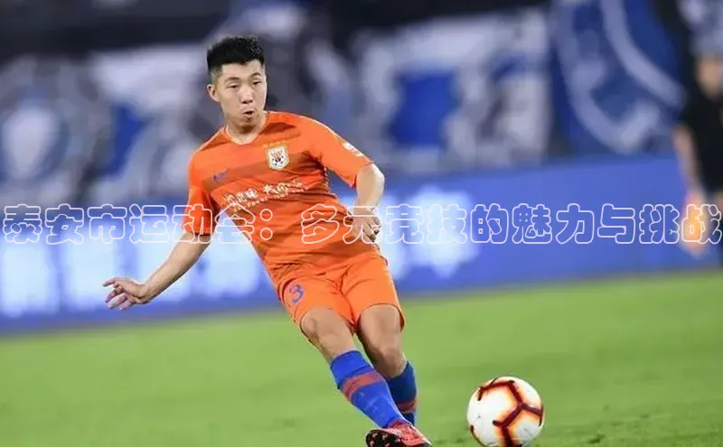 泰安市运动会：多元竞技的魅力与挑战