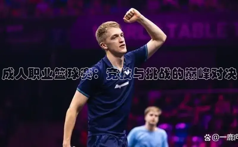 成人职业篮球赛：竞技与挑战的巅峰对决