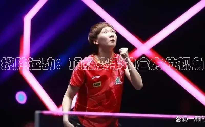 揽胜运动：顶级赛事的全方位视角