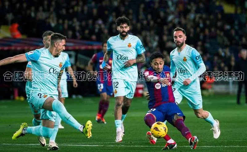 合肥近期内部运动赛事推荐：适合初中生的精彩活动