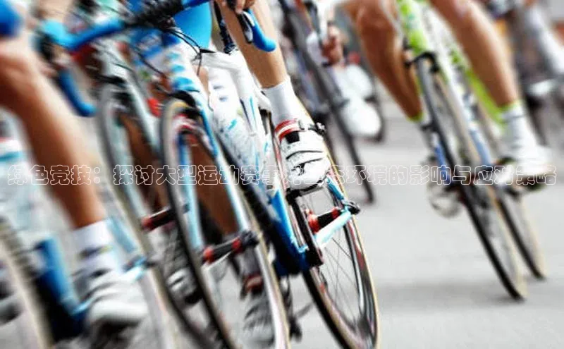 绿色竞技：探讨大型运动赛事对生态环境的影响与应对策略